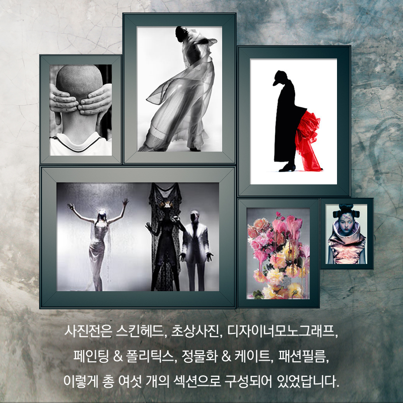 사진전은 스킨헤드, 초상사진, 디자이너모노그래프, 페인팅 & 폴리틱스, 정물화 & 케이트, 패션필름, 이렇게 총 여섯 개의 섹션으로 구성되어 있었답니다.