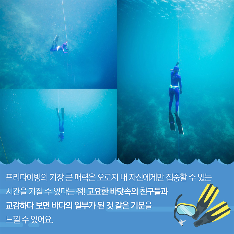 바다에서 즐기는 프리다이빙