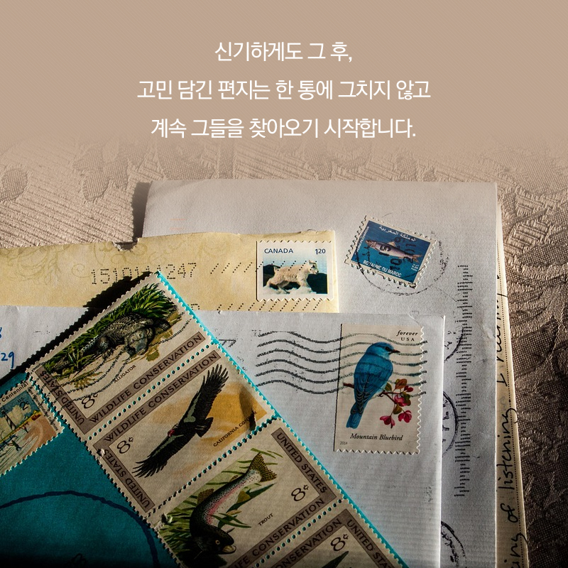 신기하게도 그 후, 고민 담긴 편지는 한 통에 그치지 않고 계속 그들을 찾아오기 시작합니다.
