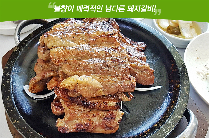 음식 사진