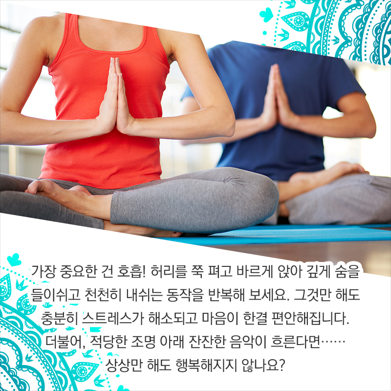 요가하는 사람들 사진