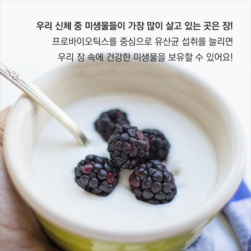 우리 신체 중 미생물들이 가장 많이 살고 있는 곳은 장! 프로바이오틱스를 중심으로 유산균 섭취를 늘리면 우리 장 속에 건강한 미생물을 보유할 수 있어요!