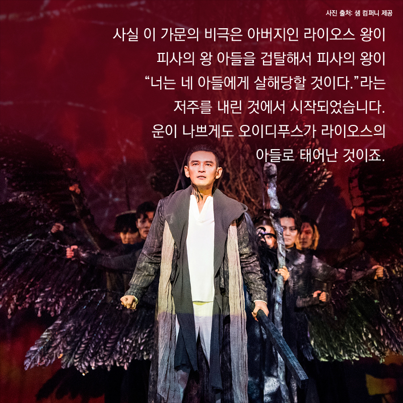 사실 이 가문의 비극은 아버지인 라이오스 왕이 피사의 왕 아들을 겁탈해서 피사의 왕이 “너는 네 아들에게 살해당할 것이다.”라는 저주를 내린 것에서 시작되었습니다. 운이 나쁘게도 오이디푸스가 라이오스의 아들로 태어난 것이죠.