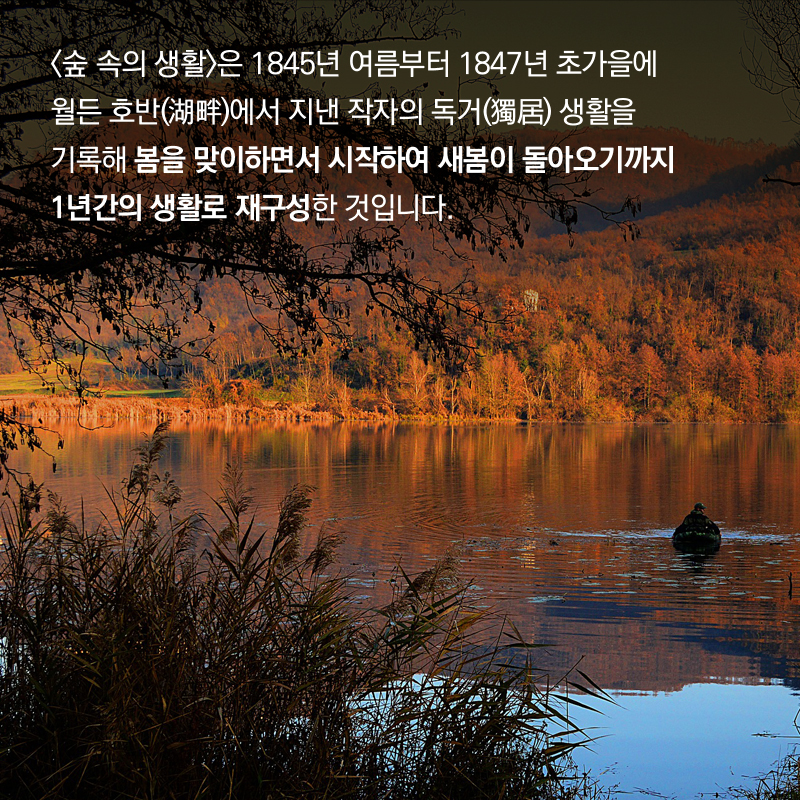 숲 속의 생활은 2년간의 숲 속 생활을 재구성한 것이다.
