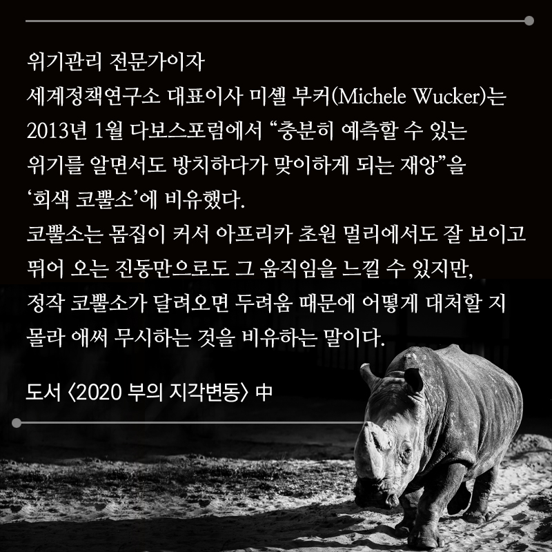 위기관리 전문가이자 세계정책연구소 대표이사 미셸 부커(Michele Wucker)는 2013년 1월 다보스포럼에서 “충분히 예측할 수 있는 위기를 알면서도 방치하다가 맞이하게 되는 재앙”을 ‘회색 코뿔소’에 비유했다. 코뿔소는 몸집이 커서 아프리카 초원 멀리에서도 잘 보이고 뛰어 오는 진동만으로도 그 움직임을 느낄 수 있지만, 정작 코뿔소가 달려오면 두려움 때문에 어떻게 대처할 지 몰라 애써 무시하는 것을 비유하는 말이다. - 도서 <2020 부의 지각변동> 中