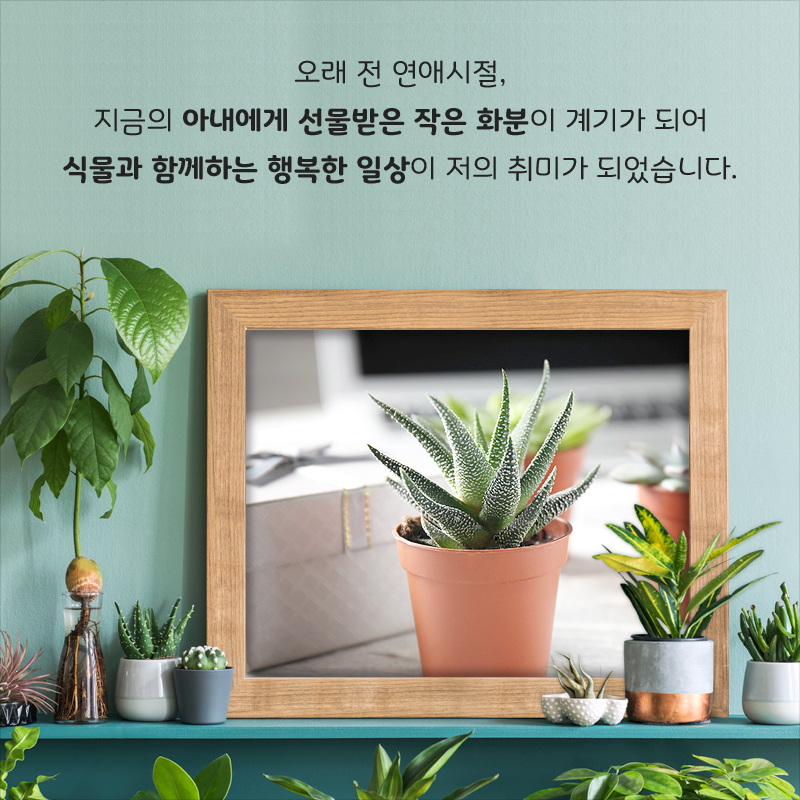 오래 전 연애시절, 지금의 아내에게 선물받은 작은 화분이 계기가 되어 식물과 함께하는 행복한 일상이 저의 취미가 되었습니다.