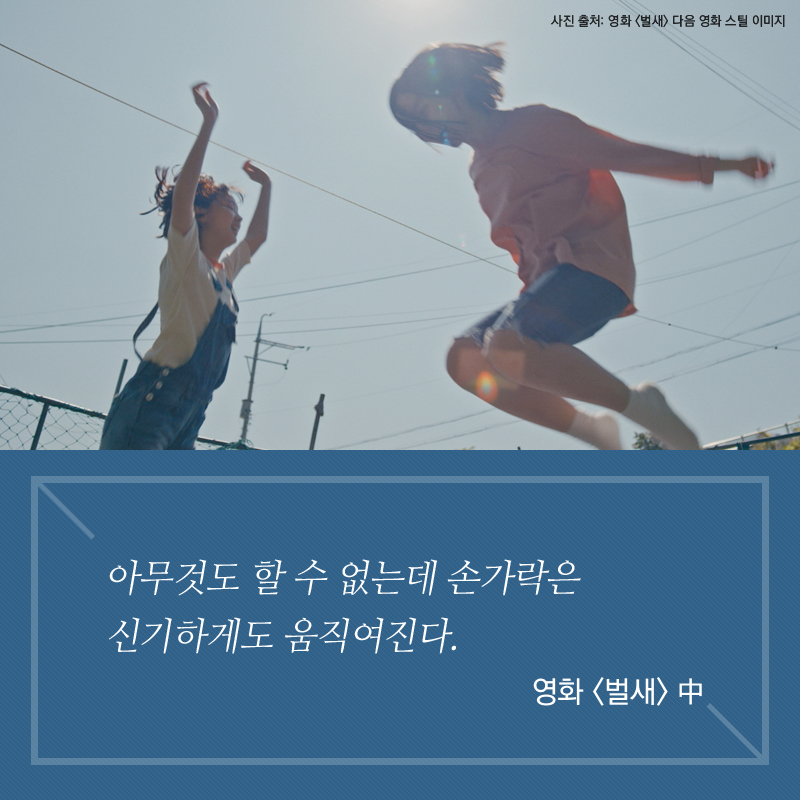 사진11