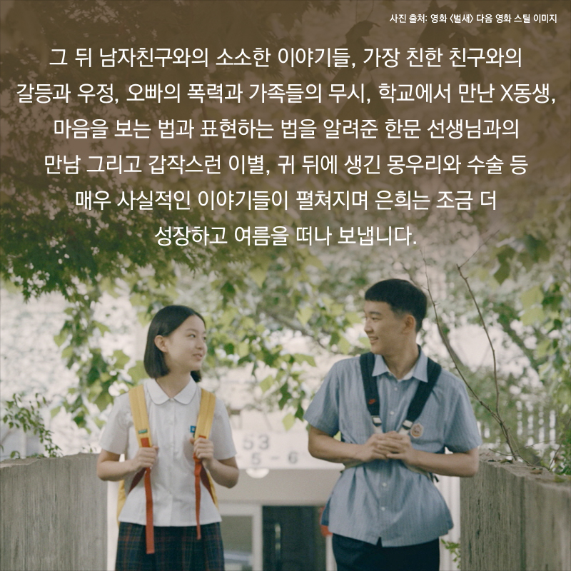 사진6