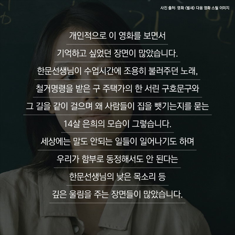 사진9