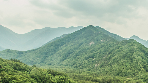 산등성이 사진