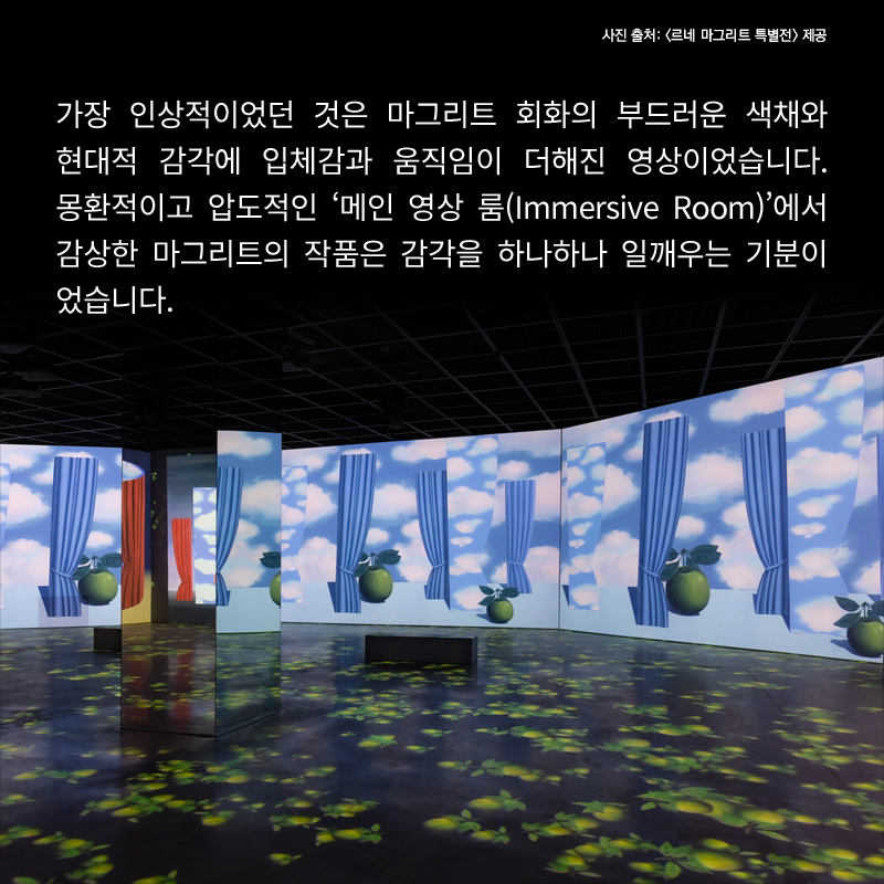 사진10