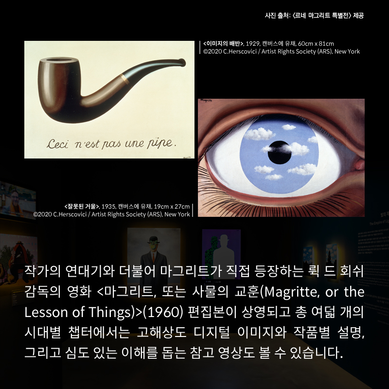 사진6