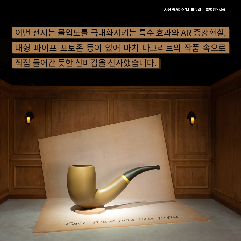 사진7