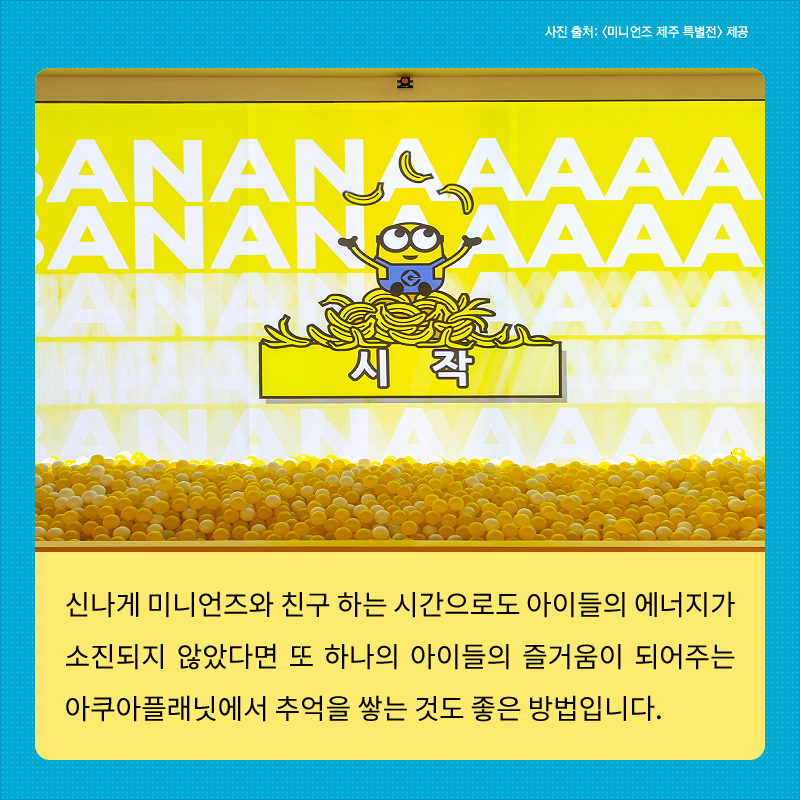 사진8