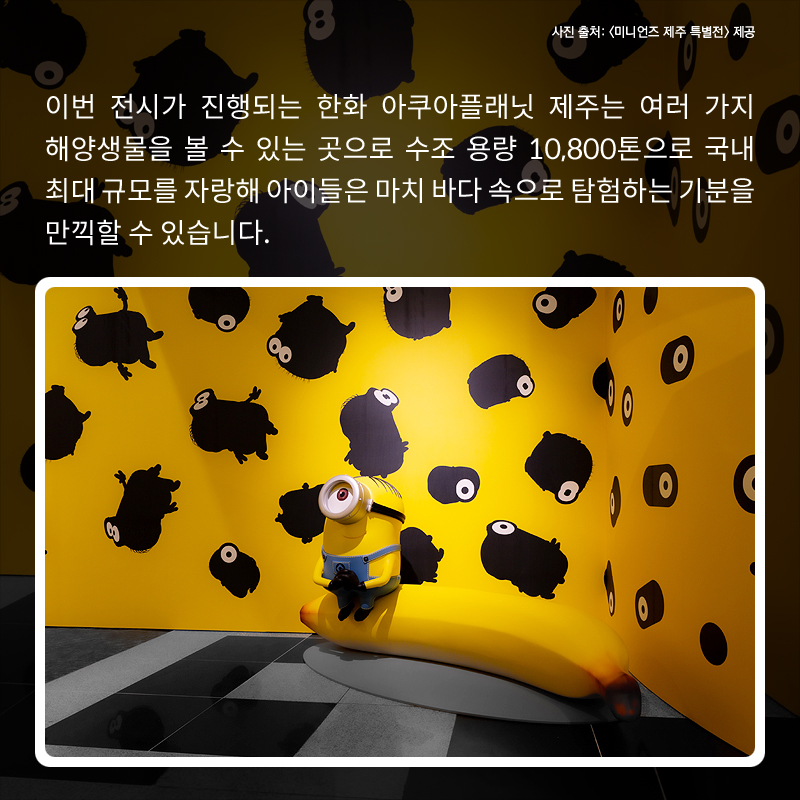 사진9
