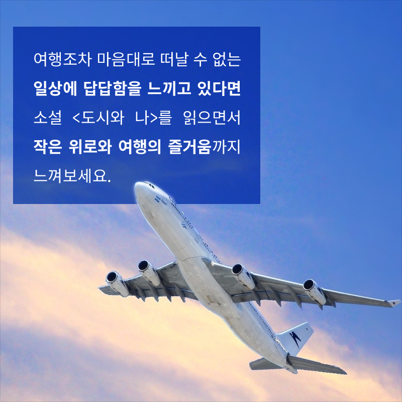 사진11