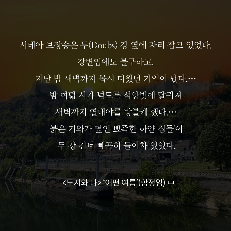 사진8