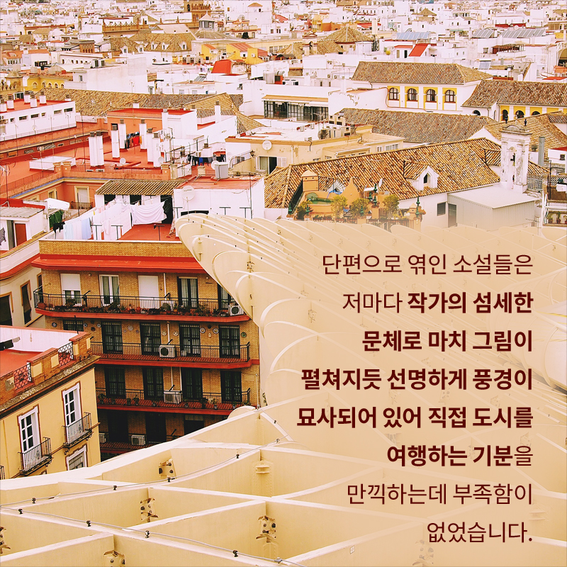 사진9