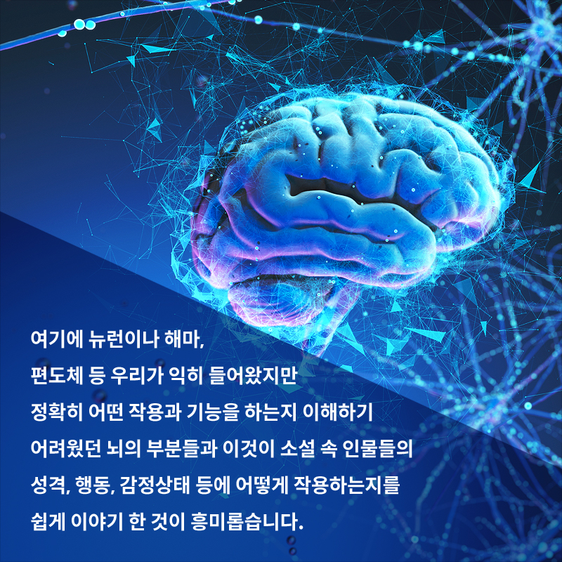 사진5