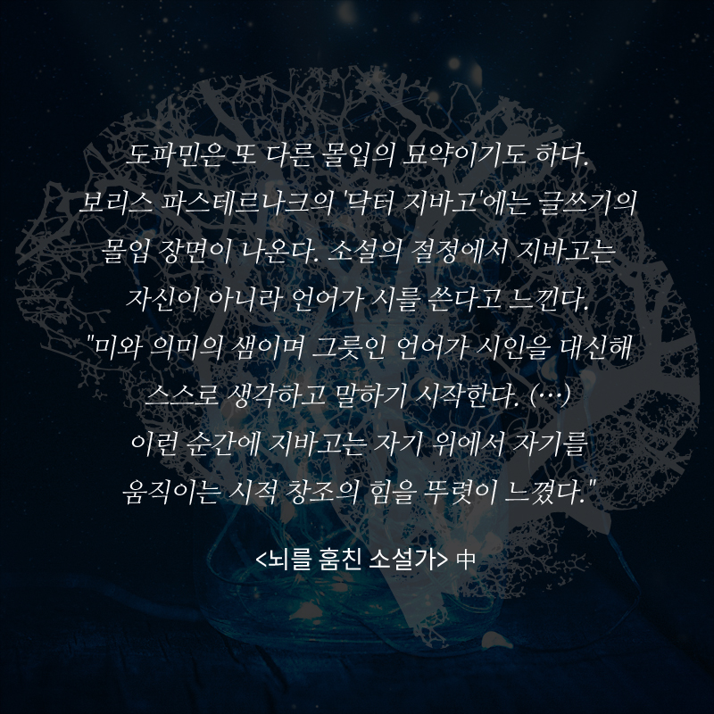 사진7