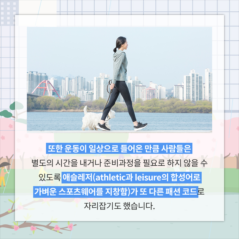 사진8
