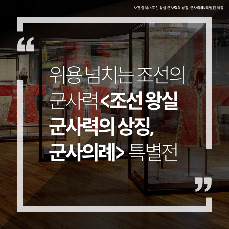 사진1