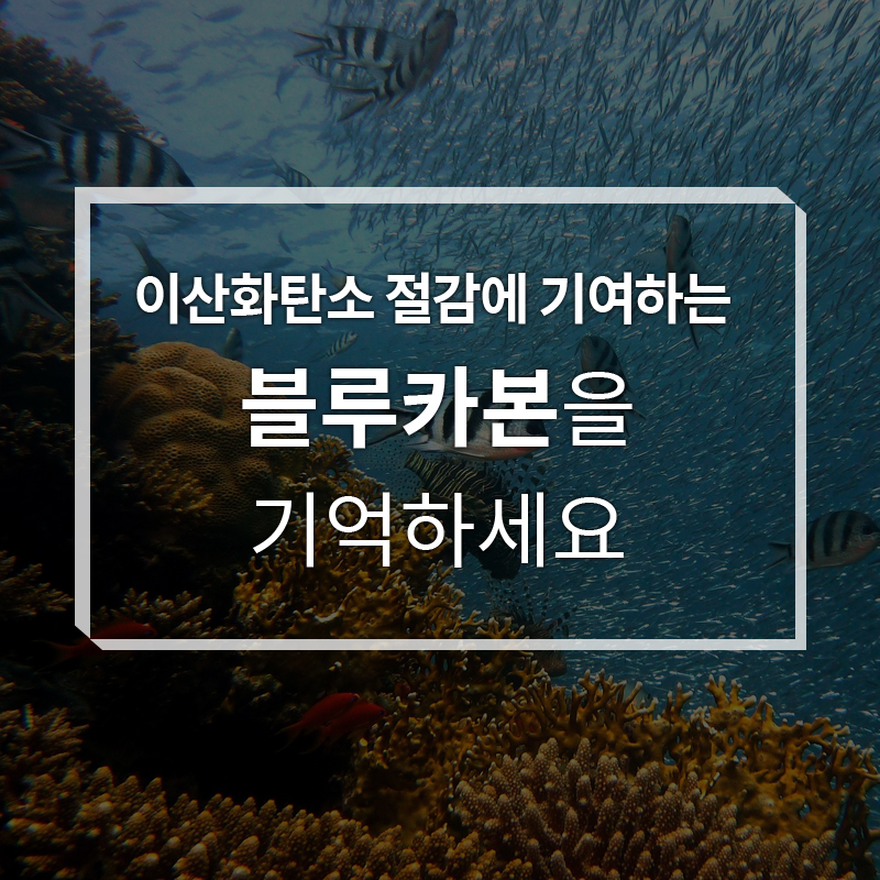 사진1