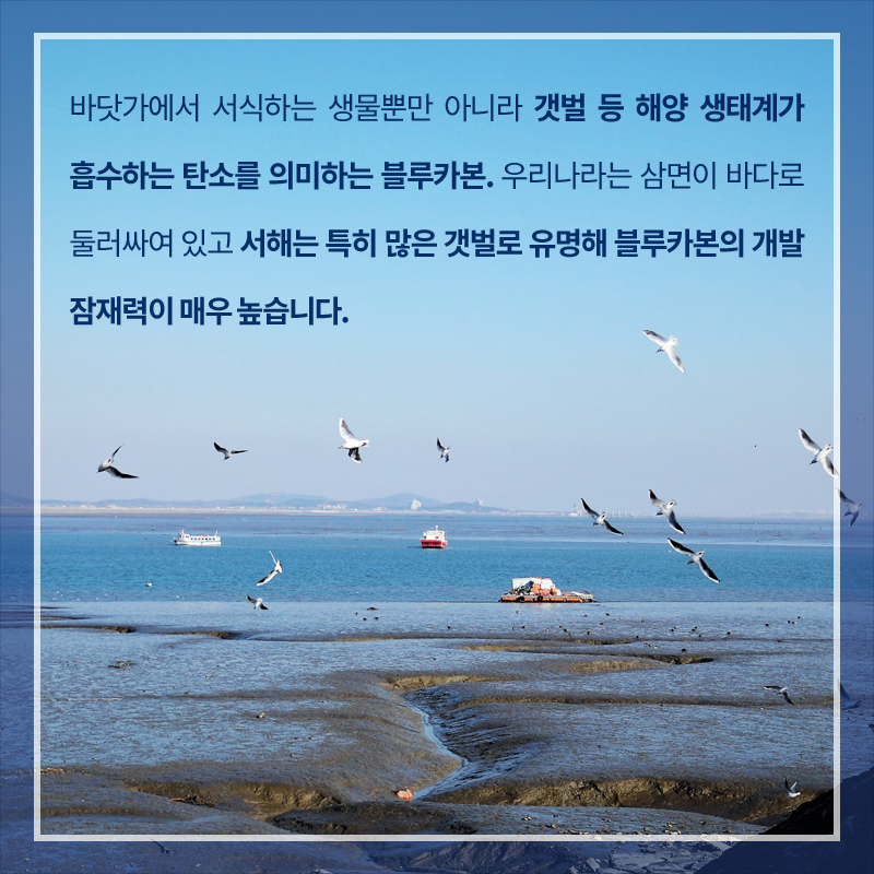 사진7