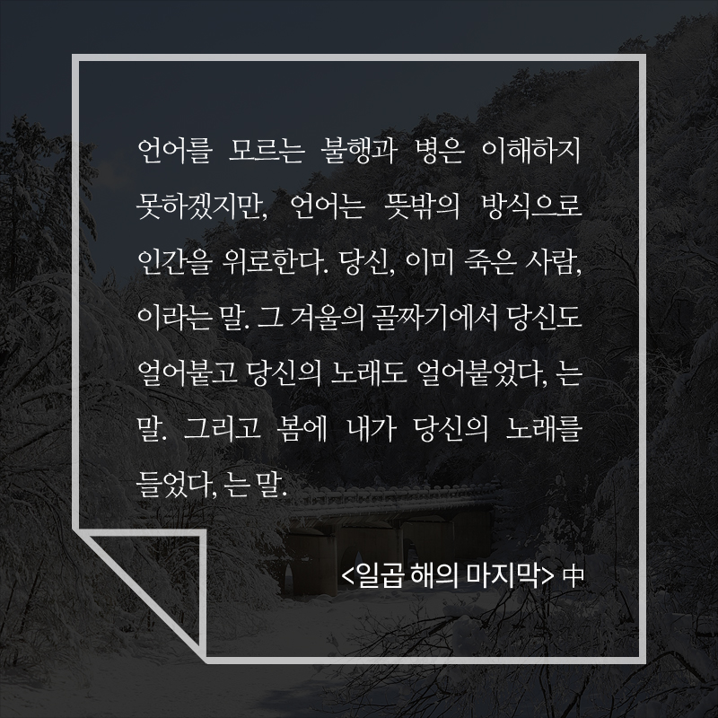 사진6