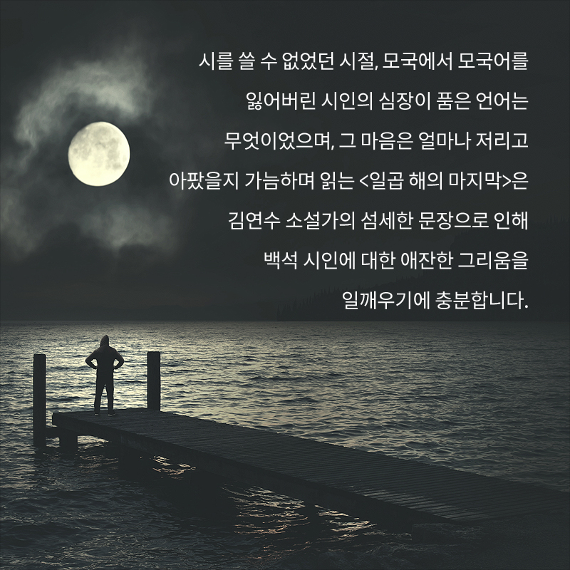 사진7
