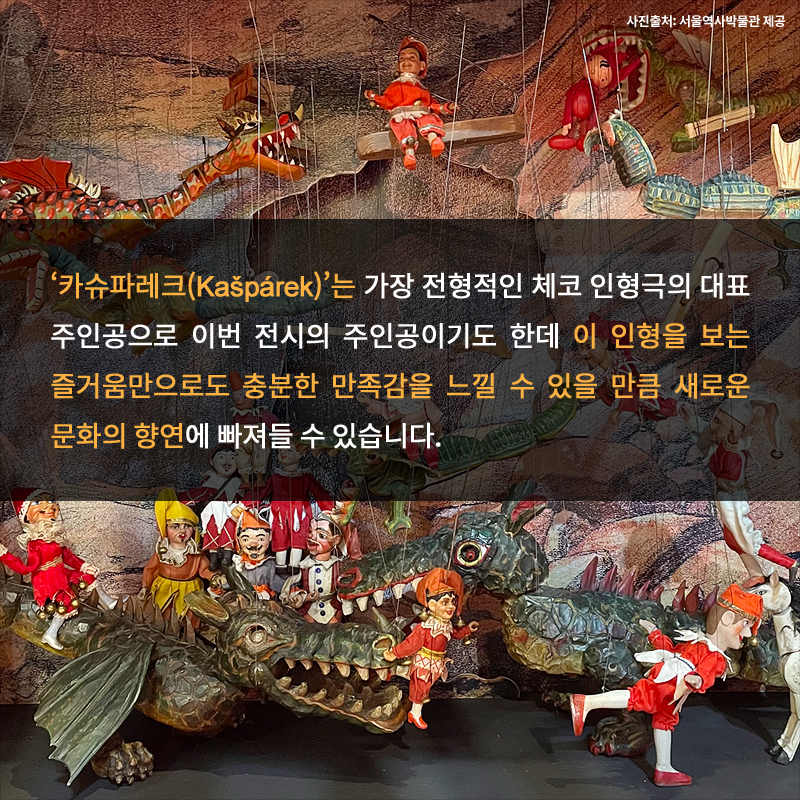 사진8