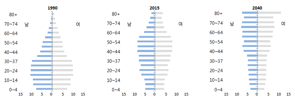 한국의 인구구조 변화 그래프