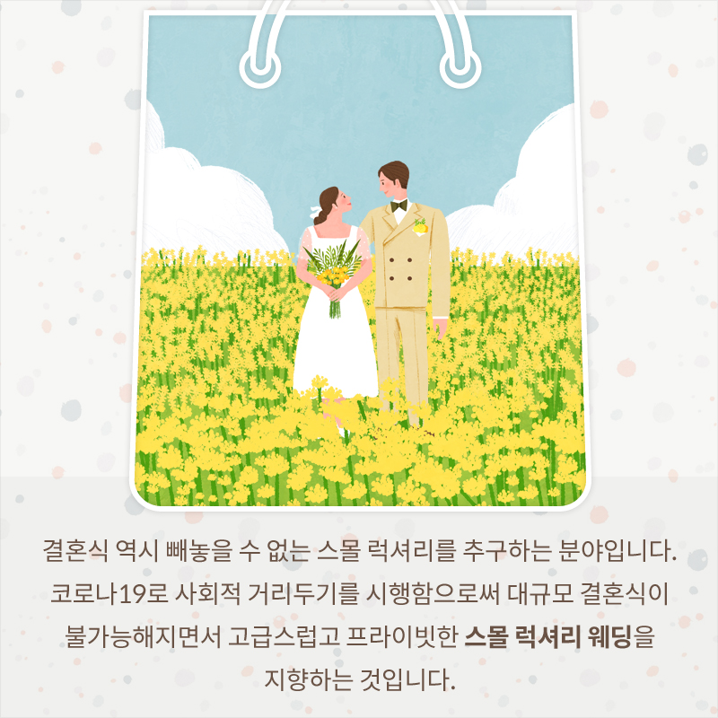사진7