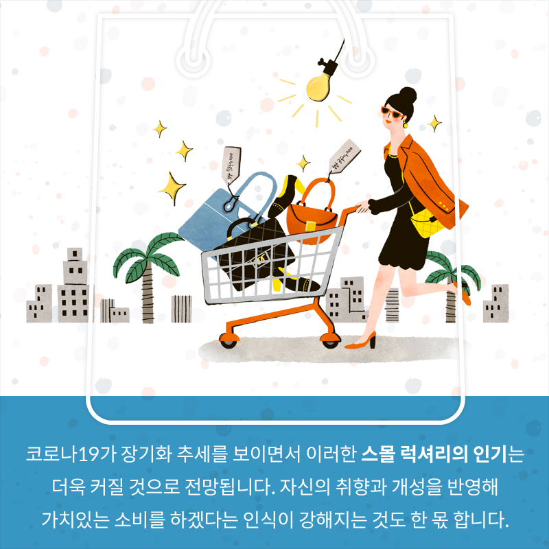 사진8
