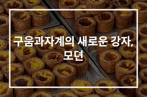 모뎐 에그타르트 사진(1)