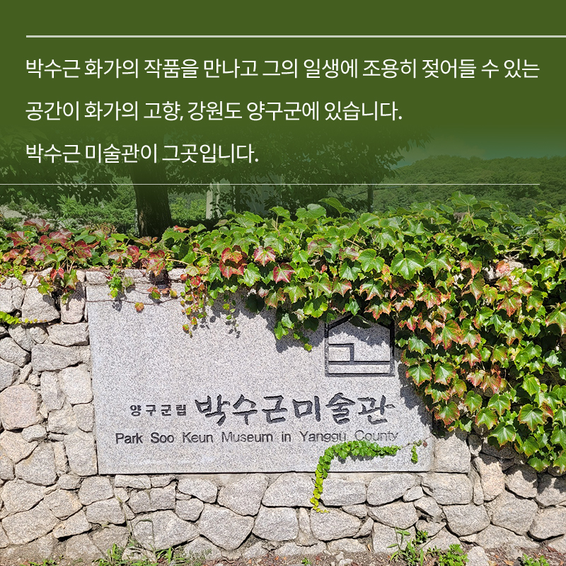 사진5