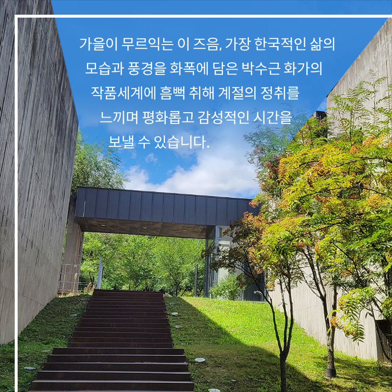 사진9