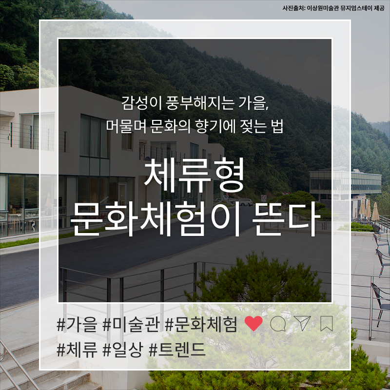 사진1
