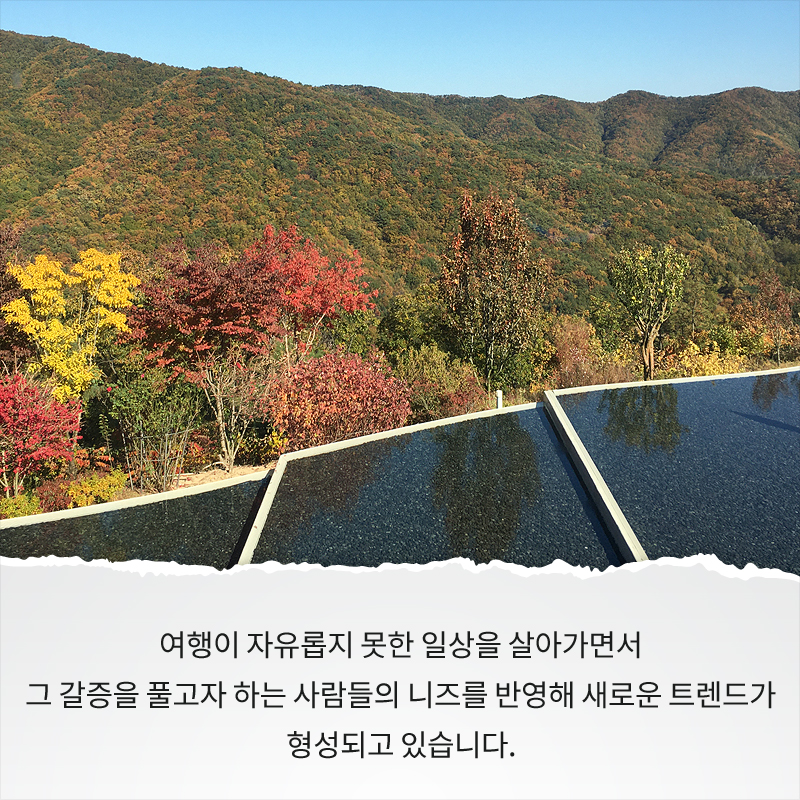 사진2