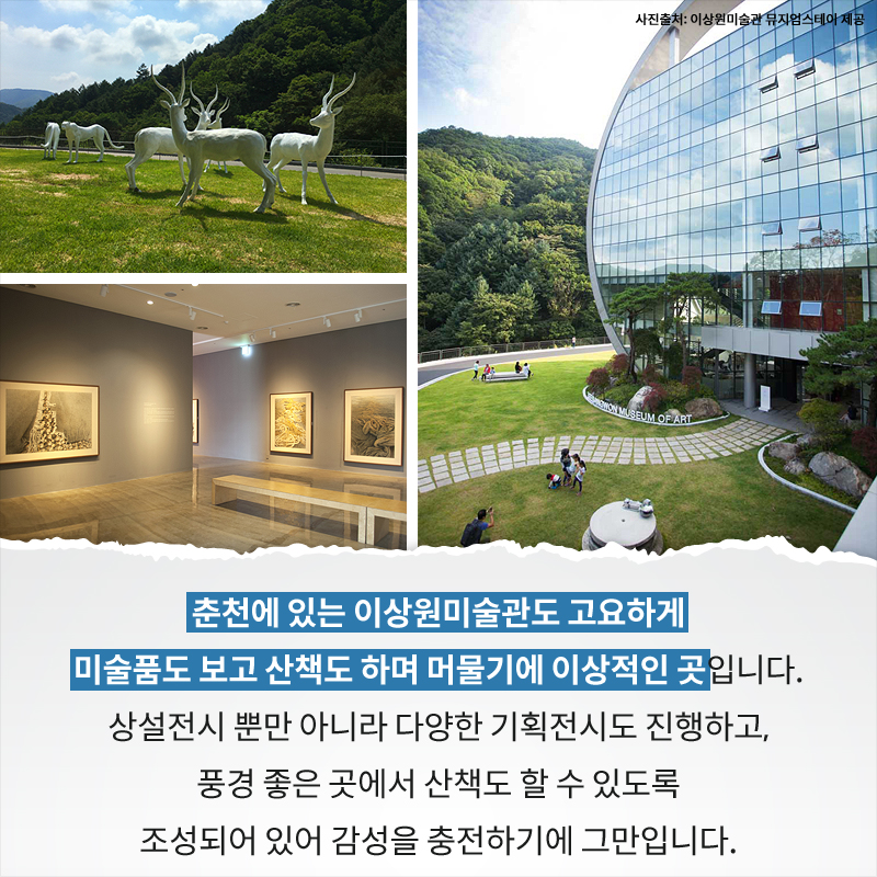 사진6