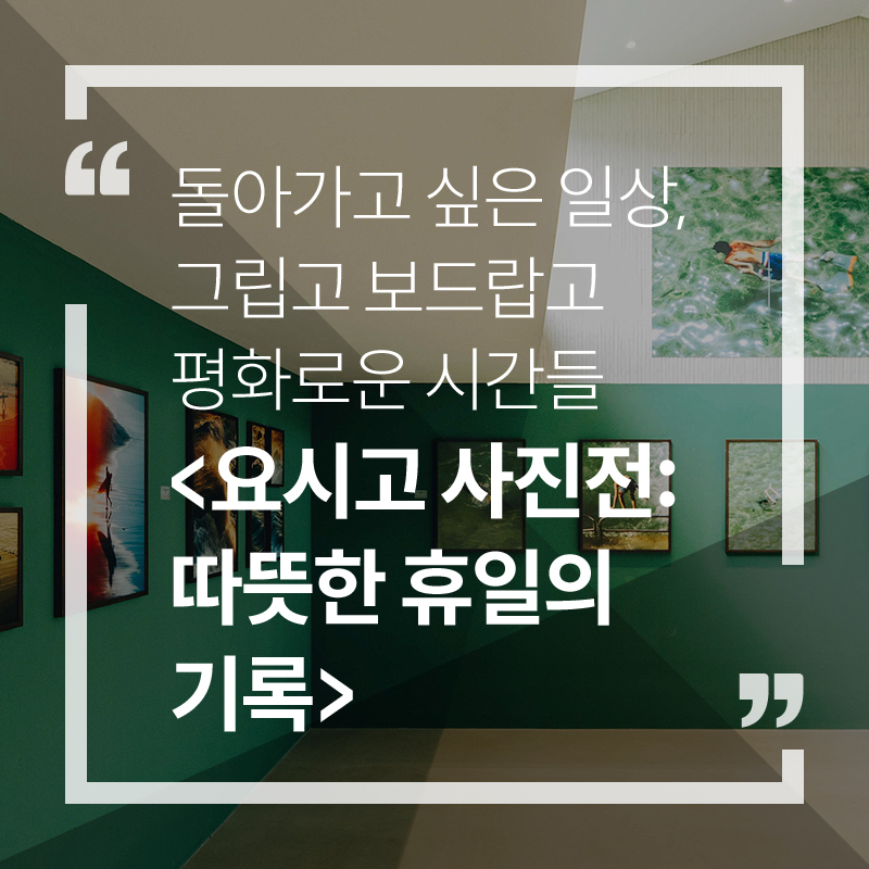 사진1