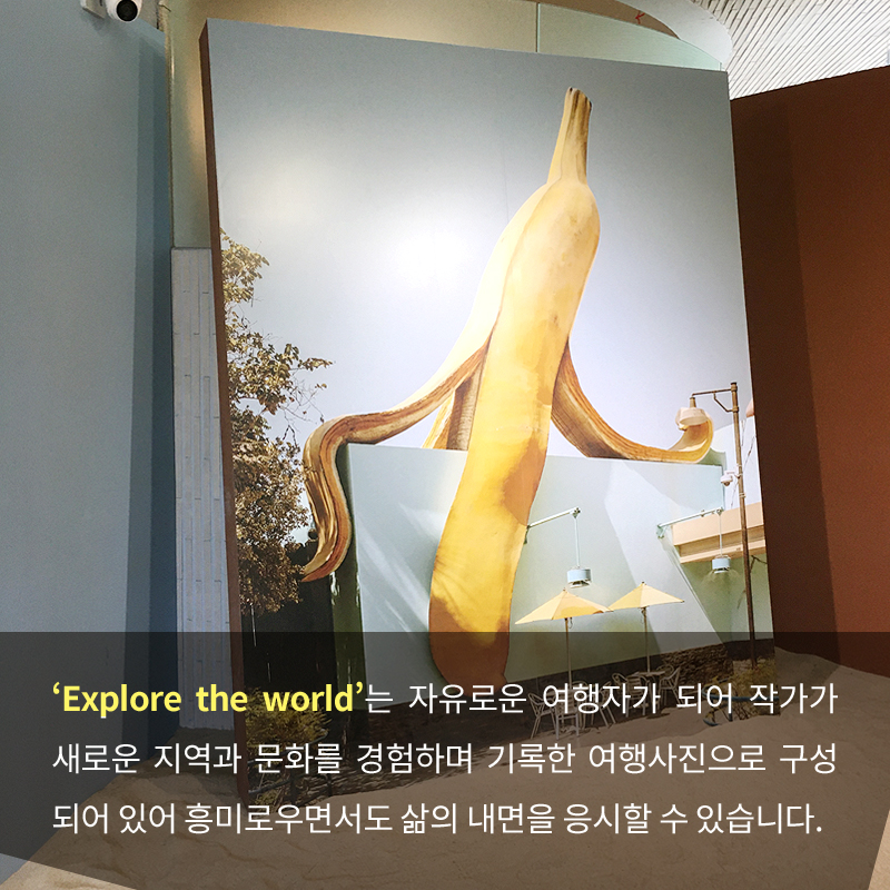 사진7