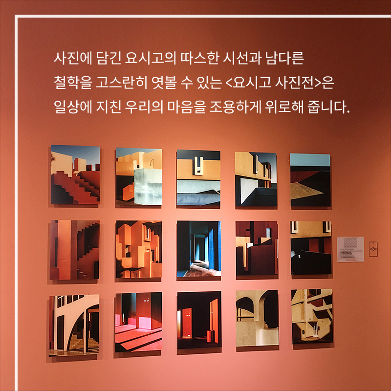 사진9