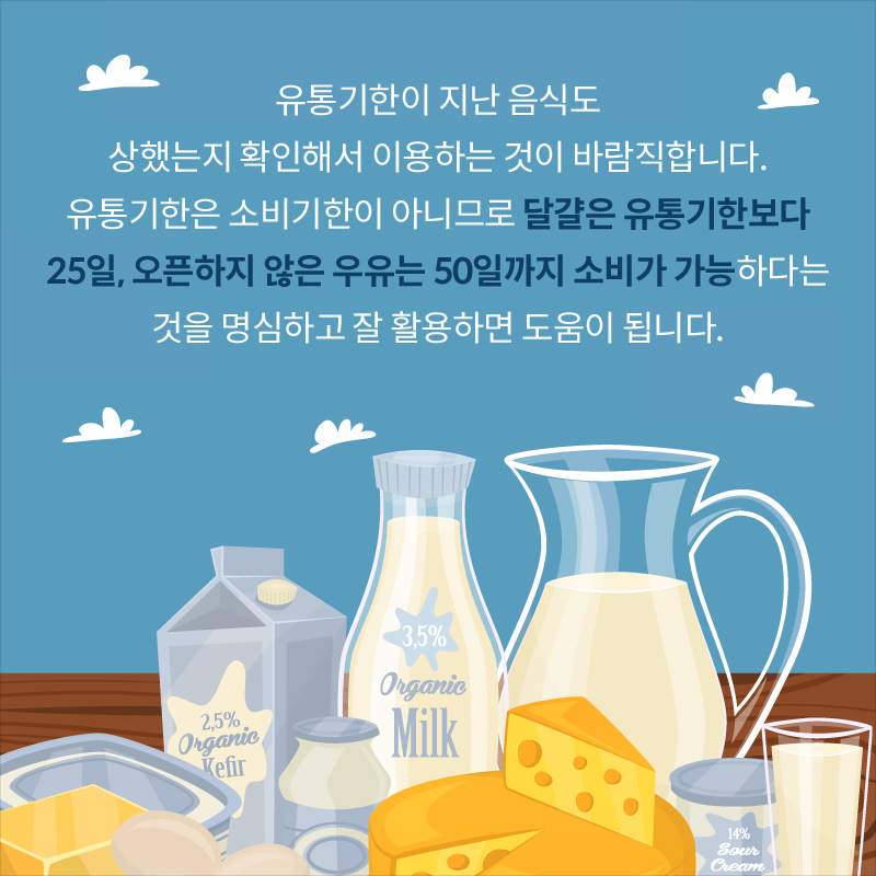 사진8