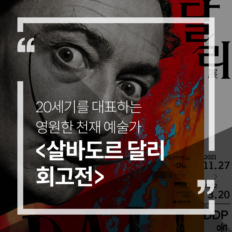 사진1