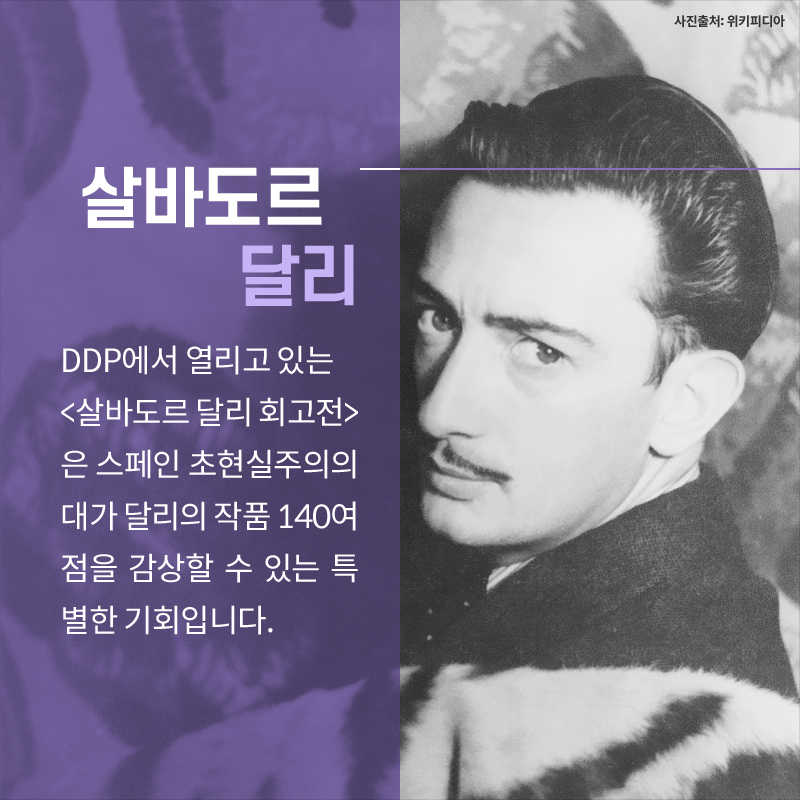 사진2