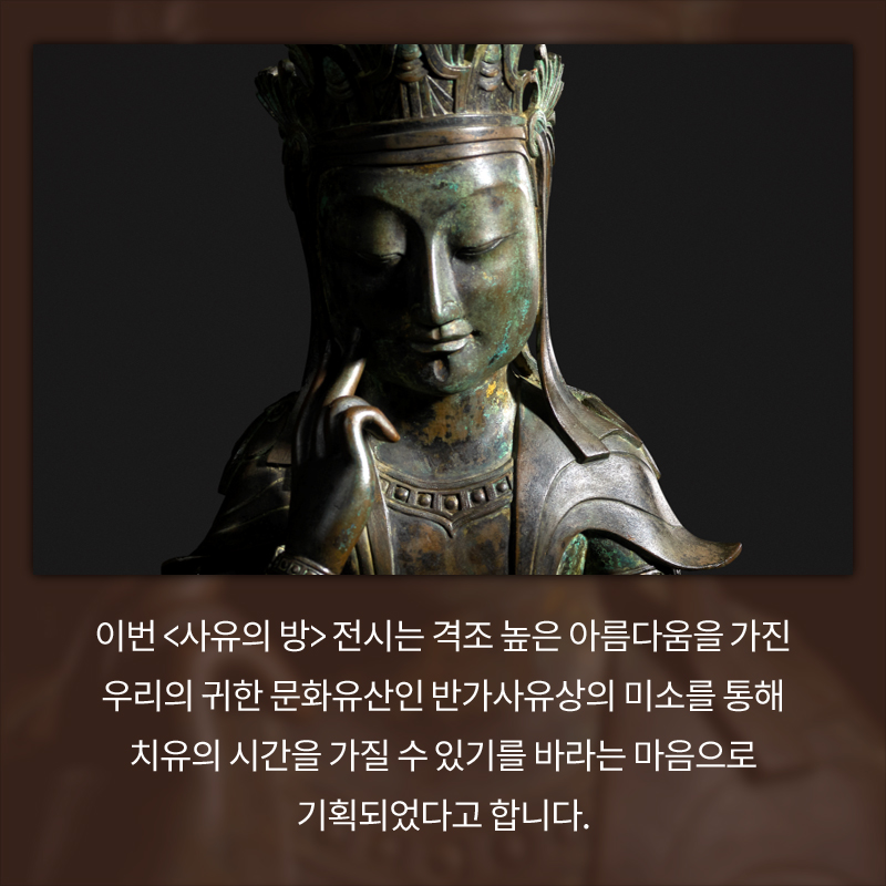 사진6