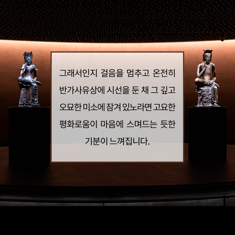 사진7
