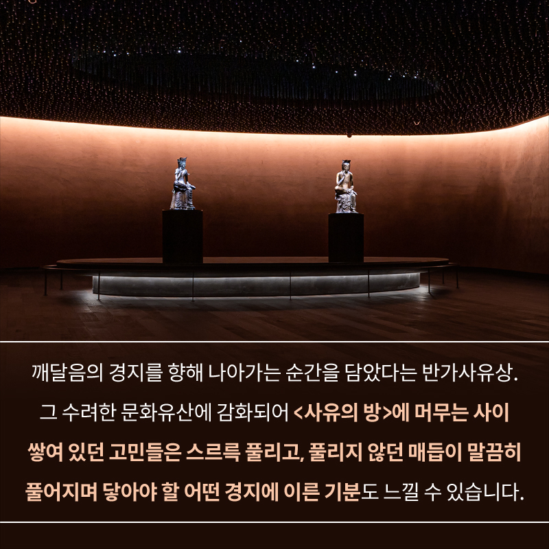 사진8