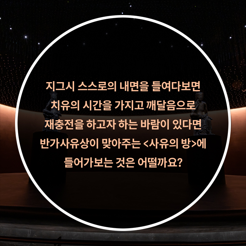 사진9